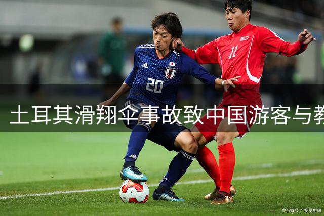 土耳其滑翔伞事故致中国游客与教练遇难 相关公司已停运