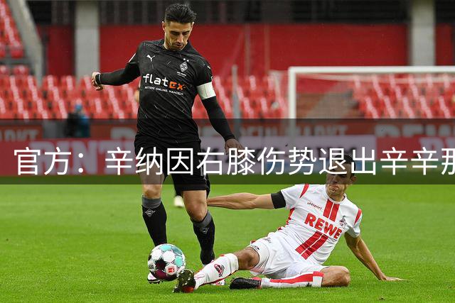 官方：辛纳因右膝伤势退出辛辛那提大师赛