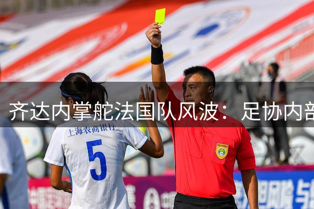 齐达内掌舵法国队风波：足协内部上演"谍战大片